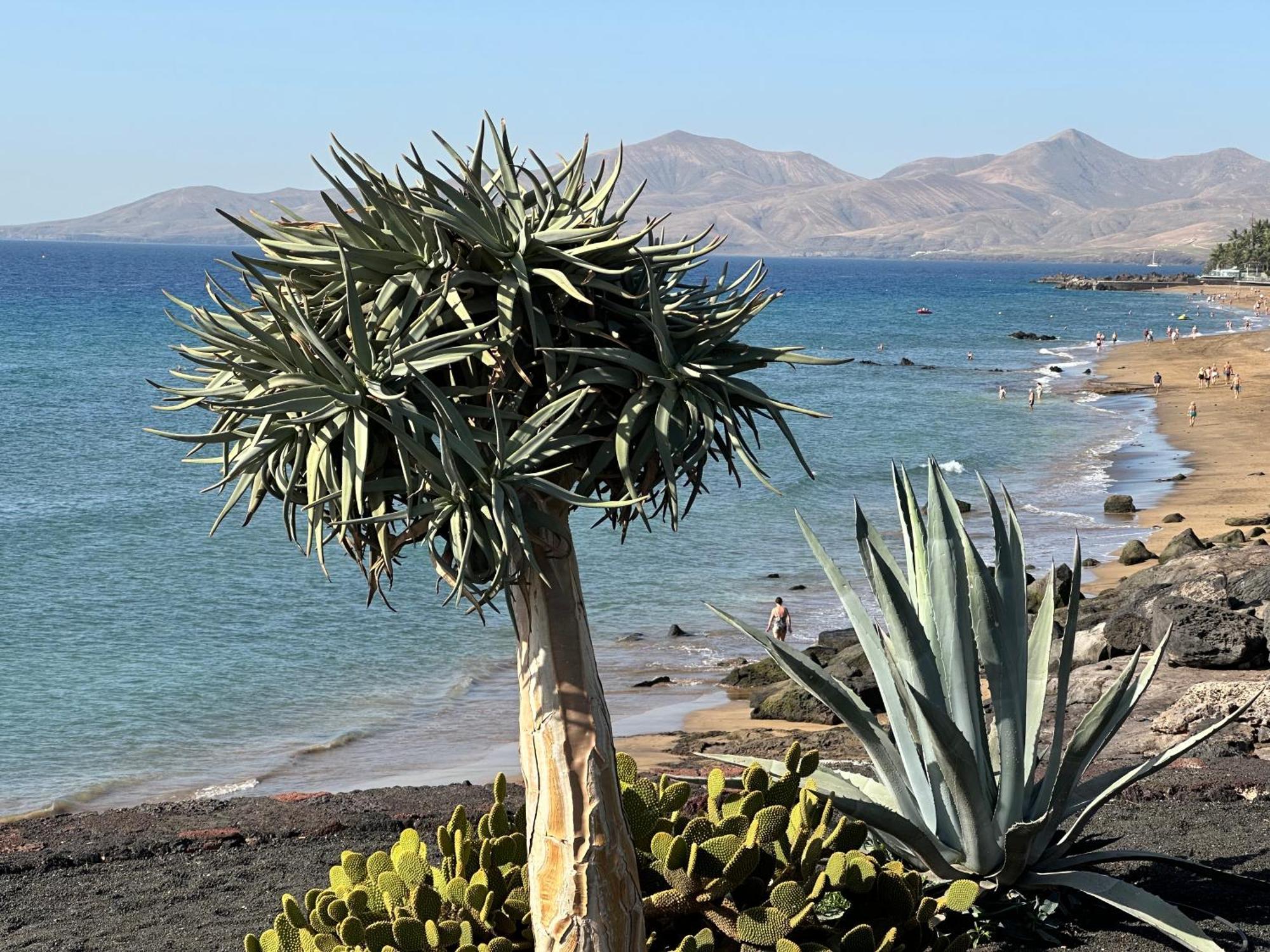 Sea View With Direct Access To Boulevard Puerto del Carmen  Bagian luar foto